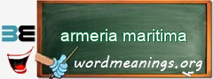 WordMeaning blackboard for armeria maritima